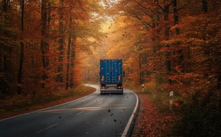 Caroz European Road Market Update 2025.